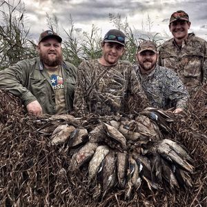 Meet your Posher, Bradley